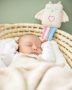 The Lulla Owl is a comforter and sleep aid, helps your baby sleep better