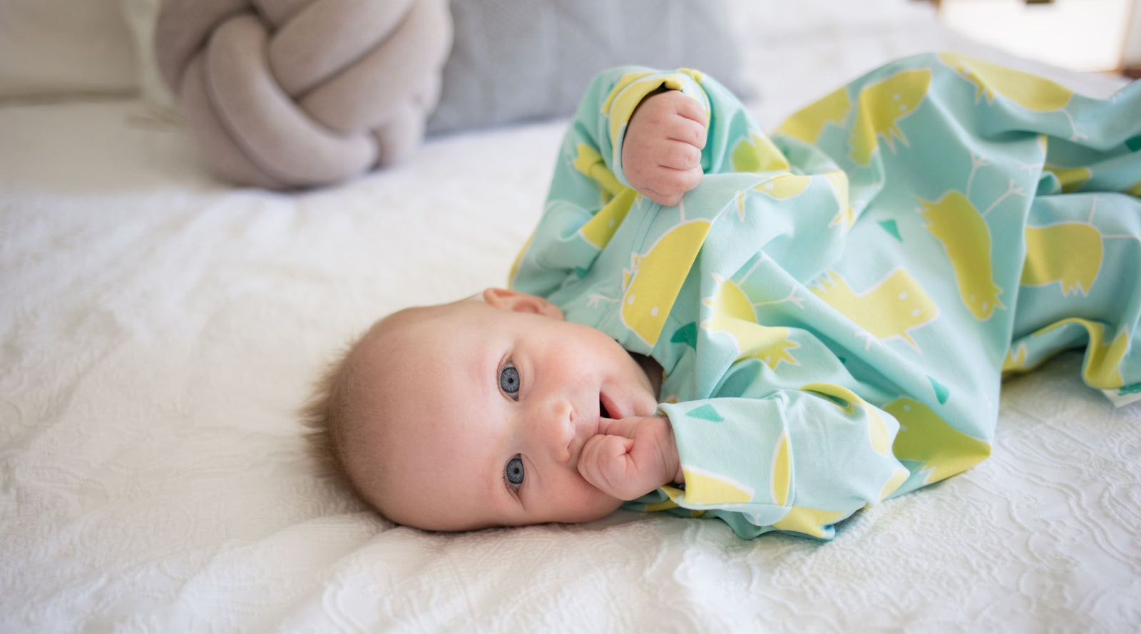 Affliate program for sleep consultants