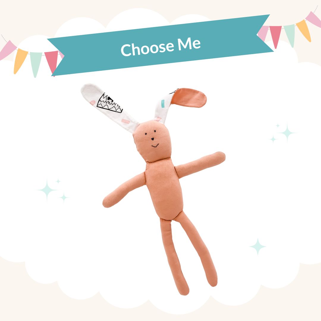 Add Me For Free: Bunny Hugs Giving Doll - Peach Pink